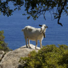Turismo d'Antan Sardegna